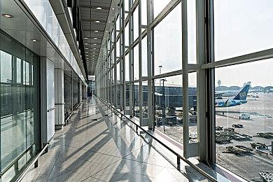 《幻兽帕鲁》帕鲁JOLTHOG介绍 2024年1月发售